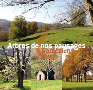 Arbres de nos paysages Corréziens