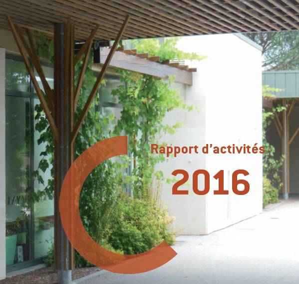 Rapport d’activité 2016