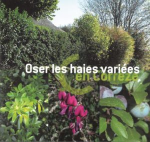 Oser les haies variées en Corrèze